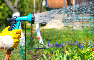 Garden watering with spray gun in a hand