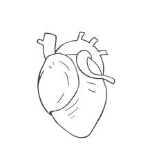 Creative design of heart draw