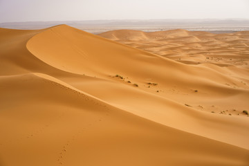The huge seas of dunes of Erg Chebbi near Merzouga in southeastern Morocco.
