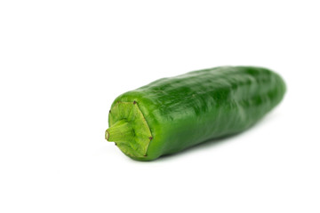 young green hot padron pepper