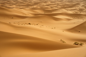 Fototapeta na wymiar The huge seas of dunes of Erg Chebbi near Merzouga in southeastern Morocco.