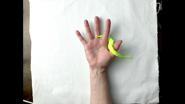 Worm on a String  stop motion animation.
