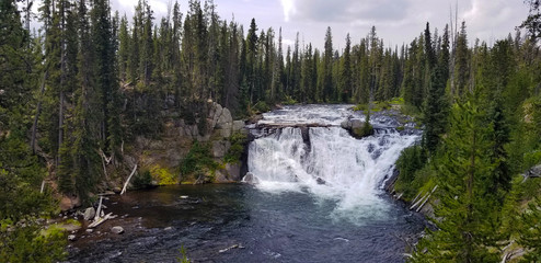 Waterfall in a Forest