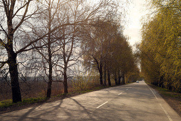 The landscape of road, trees and sky