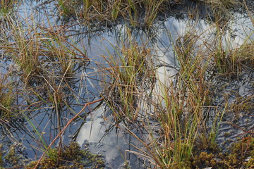Trupbacher Heide Wandern im April
