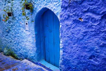 Traditional decorated door in the blue city of Chefchaouen, near the Rif mountains, Morocco