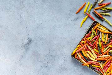 Italian Macaroni Pasta raw food background, texture close up. The concept of Italian cuisine,...