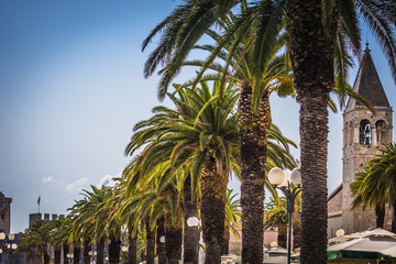 Palm alley in Old touristic place in Croatia Europe. Trogir town coastal view . Magnificent Trogir, Croatia. 