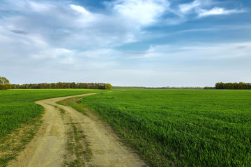 Fototapeta na wymiar Rural road on green field. Bright sky with clouds