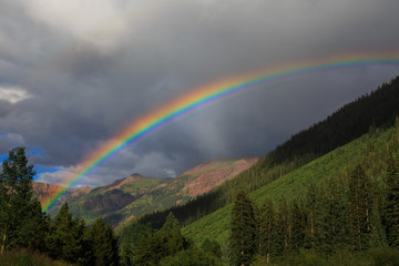 Fototapeta premium Its a Rainbow