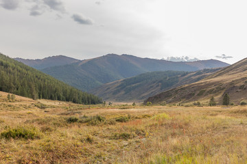 Obraz premium Typical view of Mongolian landscape. Mongolian Altai, Mongolia