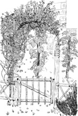 Secret garden door Hand drawn vector