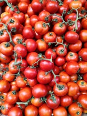 small tomatoes on the vine full frame