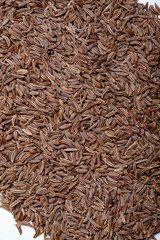 Pile of cumin seeds isolated on white background