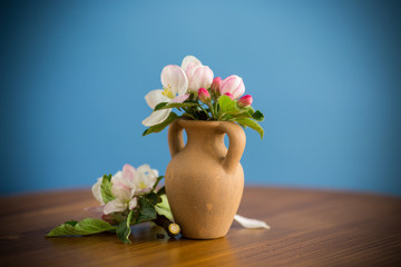 spring pink apple tree flowers in a clay vase