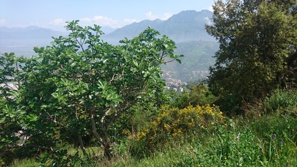 Paysage d'aokas bejaia,Algérie
