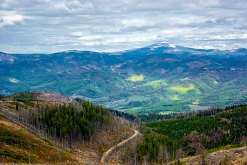 Colorful fields under the mount Kralova hola in Low Tatras. Slovakia © FFFDDS