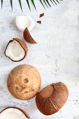 Pieces of coconut on a light textured background with tropical tree leaves. Top view.