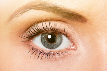 Fototapeta premium Brew.