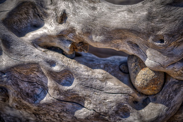 A large smooth rock is embedded in the space between two driftwood logs.                             