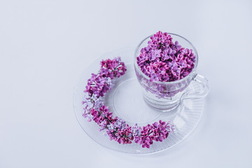 Obraz na płótnie Canvas lilac flowers in a cup