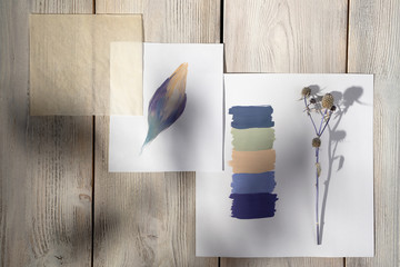 A color palette with samples of flowers taken from a dried field plant and displaying these colors...