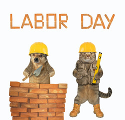 The cat and the dog are construction workers in yellow helmets. They are laying red bricks to make...
