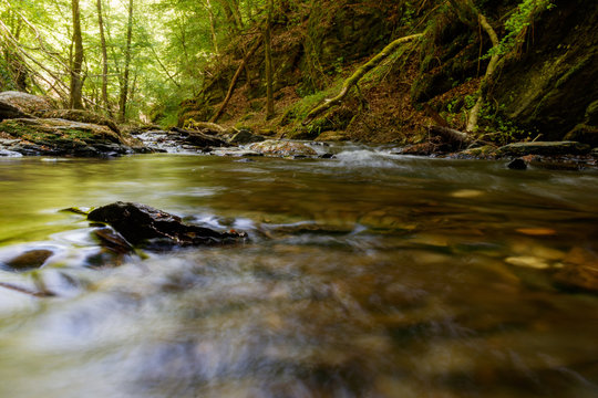 EIn Bach in einer bewaldeten Schlucht