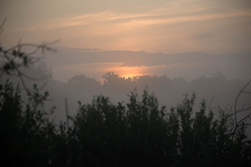 Fototapeta na wymiar Wschód słońca na skraju lasu