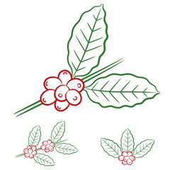 Stylized drawing of coffee beans and leaves.