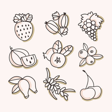 Berries set on an isolated background. Icons of berries: strawberries, blueberries, cranberries, watermelon, grapes, oblepiha. Linear drawing, black and white. Vitamins and organic products. Vector.