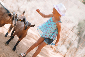 Little girl in the zoo with a small cute goat
