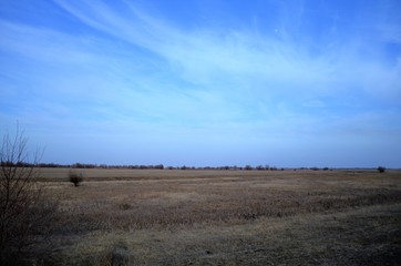 Fototapeta premium Steppes in early spring