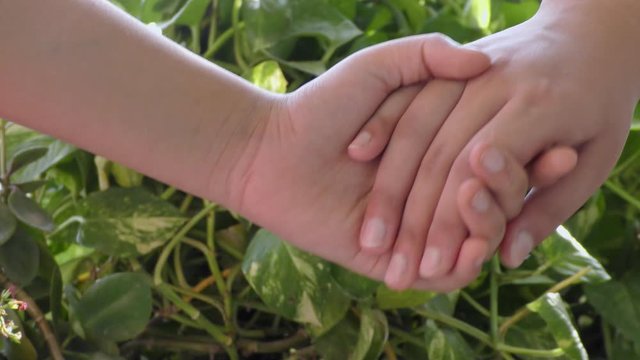 Holding hand of each other and in background there are plants.