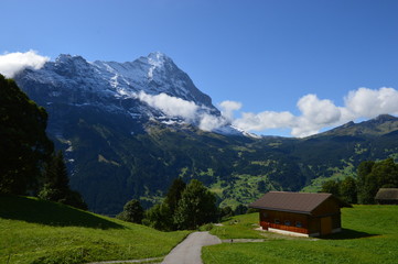 Fototapeta na wymiar swiss alpine landscape