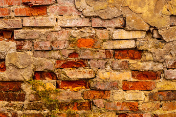 Old brick wall masonry of red brick behind plastered.