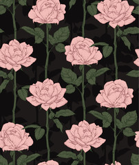 Hand drawn flowering roses. Seamless pattern with pink roses. Vector illustration