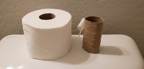 A full roll of toilet paper and empty roll of toilet paper side by side on top of a toilet.