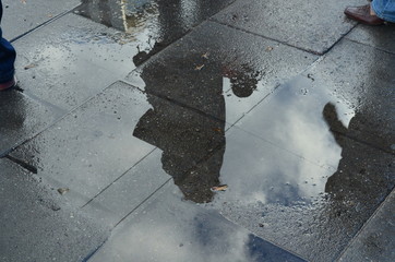 Reflection in Rain Puddle