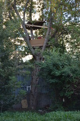 Treehouse in City