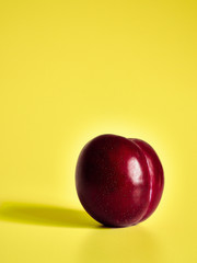 red plum on a yellow background
