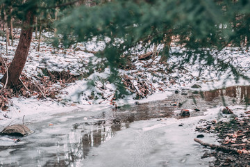 Stream winter