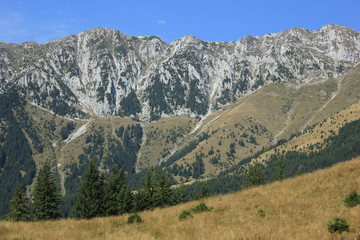 Mountain life travel