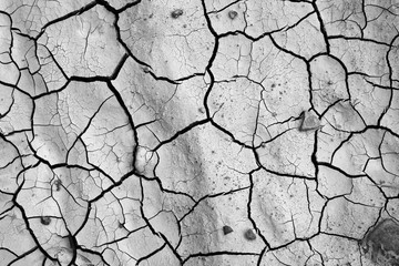 cracked earth texture