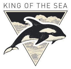 Vector banner on the theme of adventure, travel and discovery with the words King of the sea. Hand-drawn illustration with a big killer whale and a triangle with sea waves in retro style © paseven