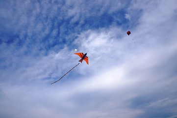 Kite