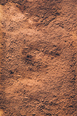 Tiramisu cake  on a baking dish, four golden fork inside, hard shadow top view on a white background