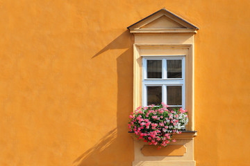 Fototapeta na wymiar Window and flowerbox, orange wall, shadow