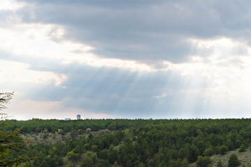 The rays of the sun shine through clouds onto pine tress forest.