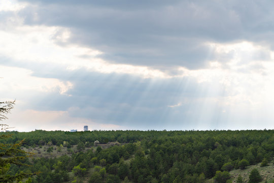 The rays of the sun shine through clouds onto pine tress forest. © Bilal